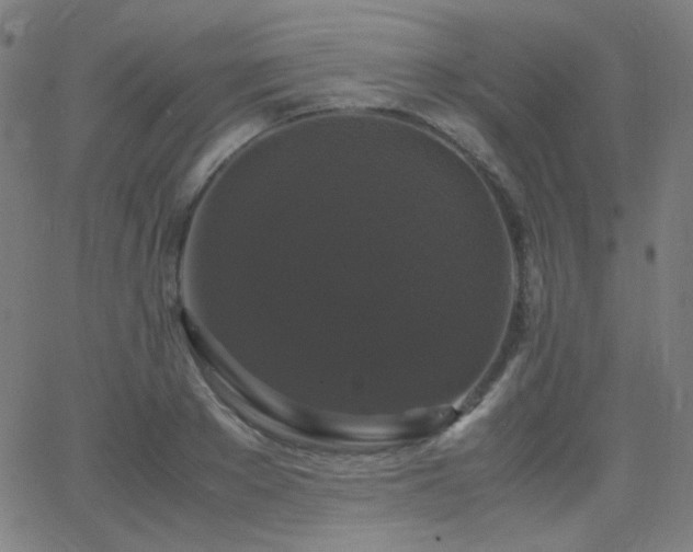 X0000062850889200601131347