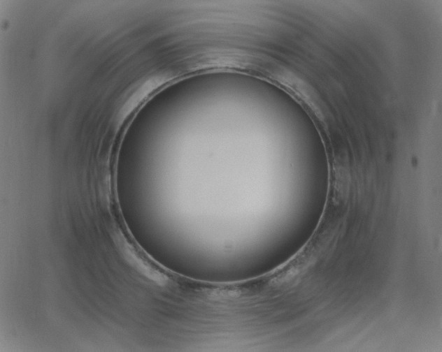 X0000062850890200601131347