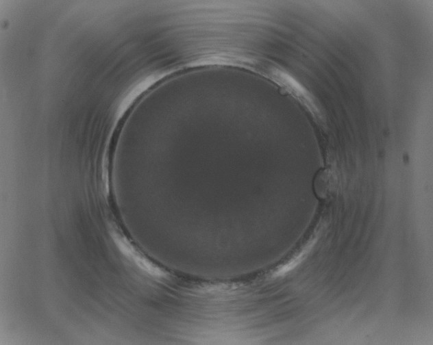 X0000062850892200601131347