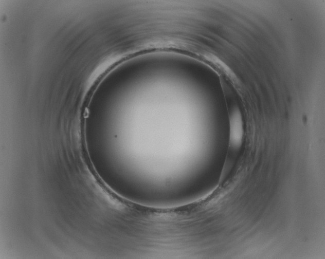 X0000062850894200601131347