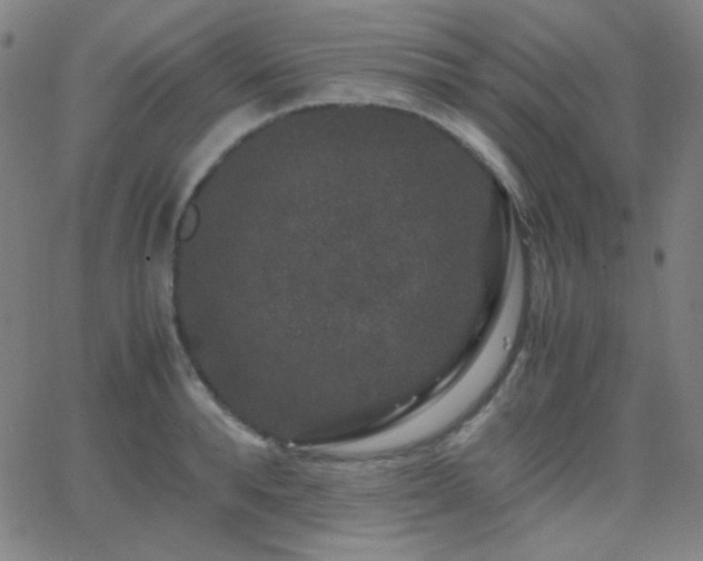 X0000062850896200601131347