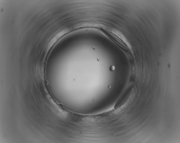 X0000062850898200601131347