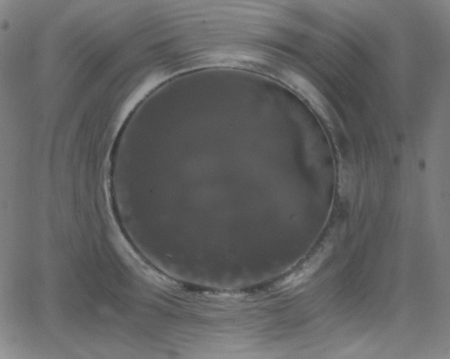 X0000062850899200601131347