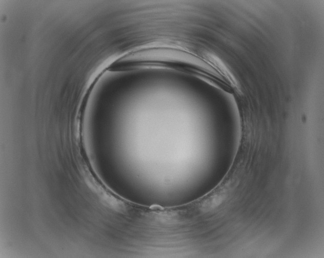 X0000062850900200601131347