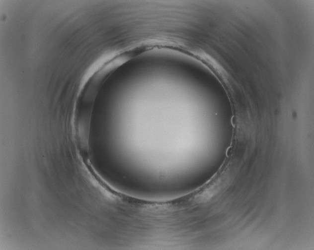 X0000062850902200601131347