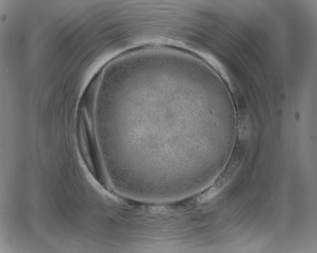 X0000062850903200601131347