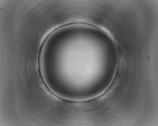 X0000062850904200601131347