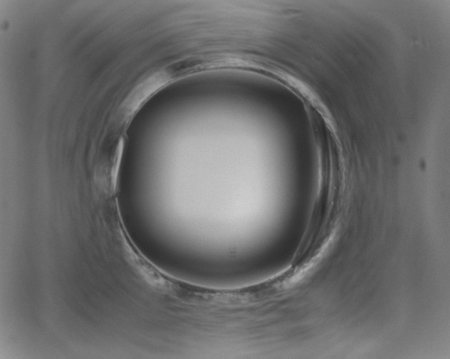 X0000062850905200601131346