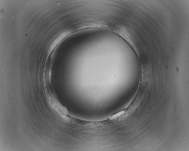 X0000062850906200601131346