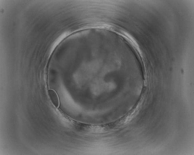 X0000062850907200601131346