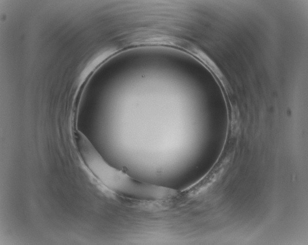 X0000062850909200601131346