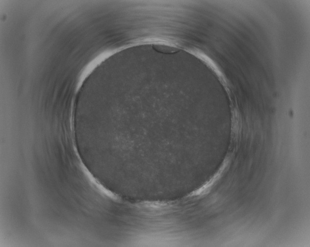 X0000062850910200601131346