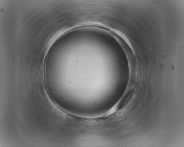 X0000062850911200601131346