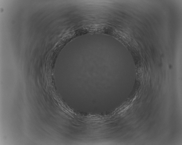 X0000062850913200601131346