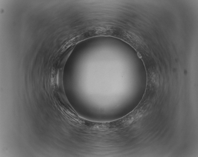 X0000062850914200601131346