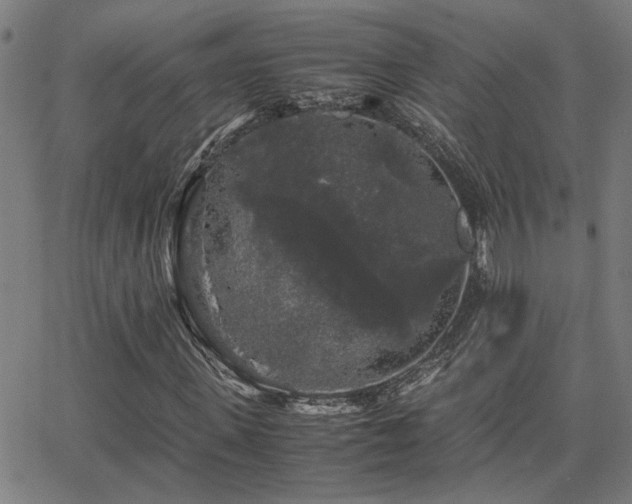 X0000062850915200601131346