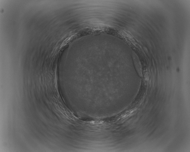 X0000062850916200601131346