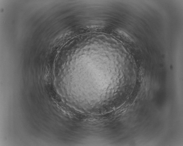 X0000062850917200601131346