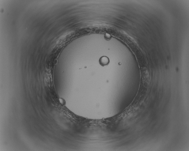 X0000062850918200601131346