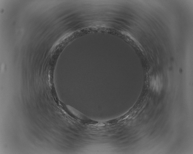 X0000062850919200601131346