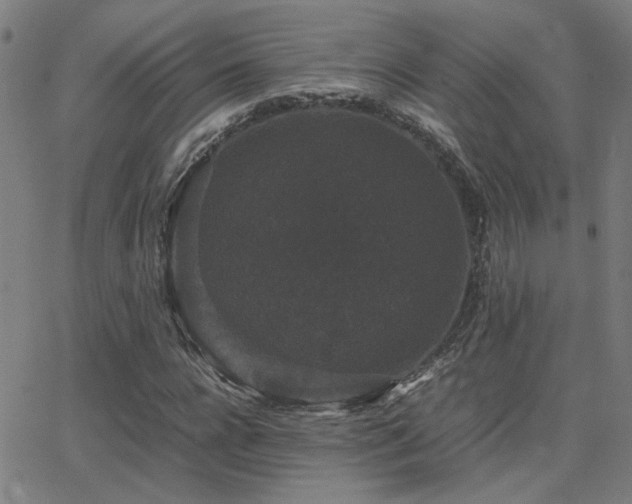 X0000062850920200601131346