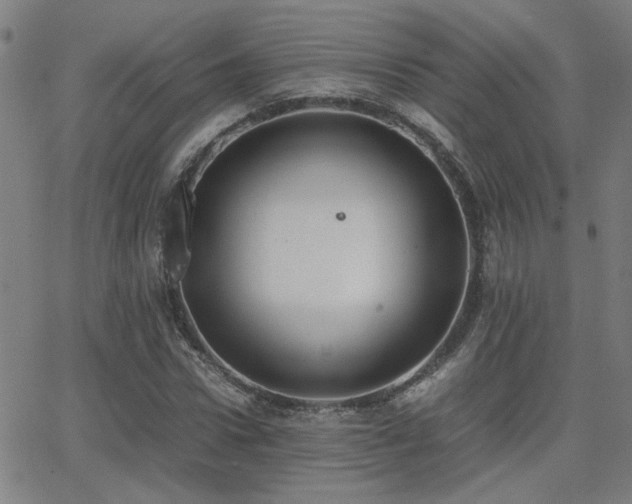 X0000062850922200601131346