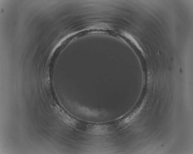 X0000062850923200601131346