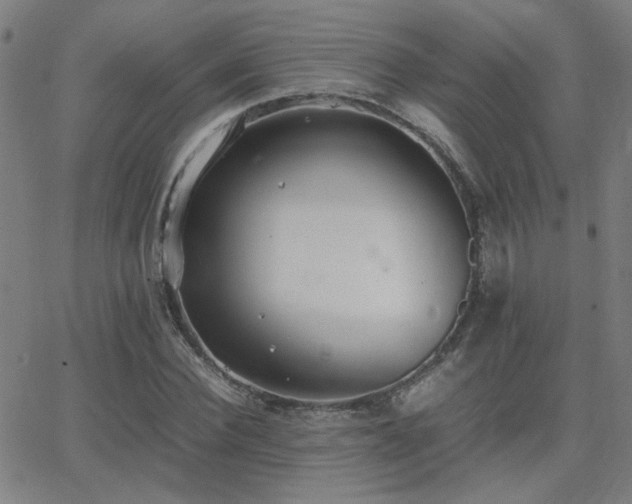 X0000062850924200601131346