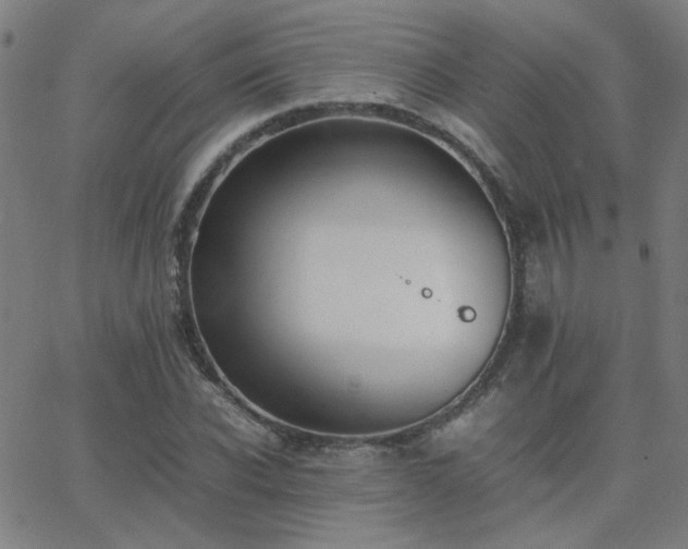 X0000062850926200601131346