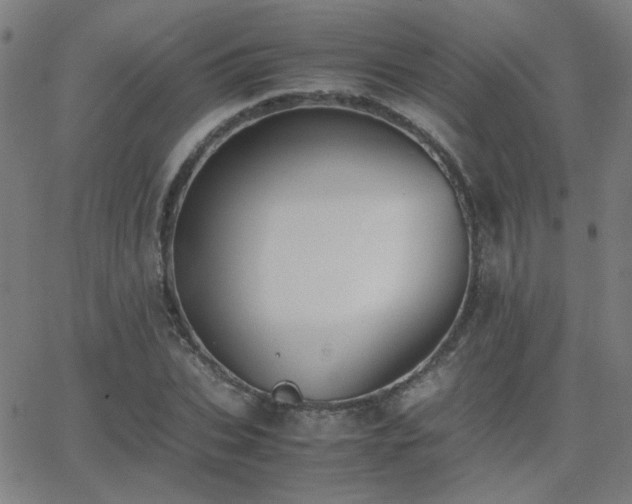 X0000062850927200601131346