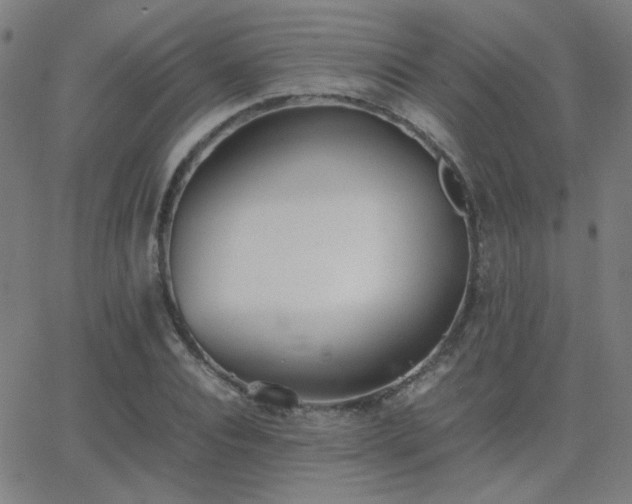 X0000062850928200601131346