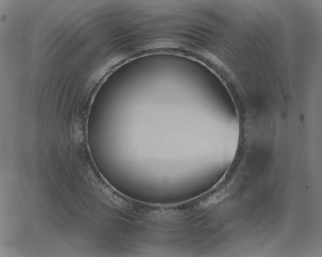 X0000062850929200601131346