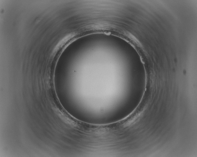 X0000062850930200601131346