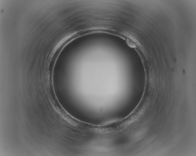 X0000062850933200601131346