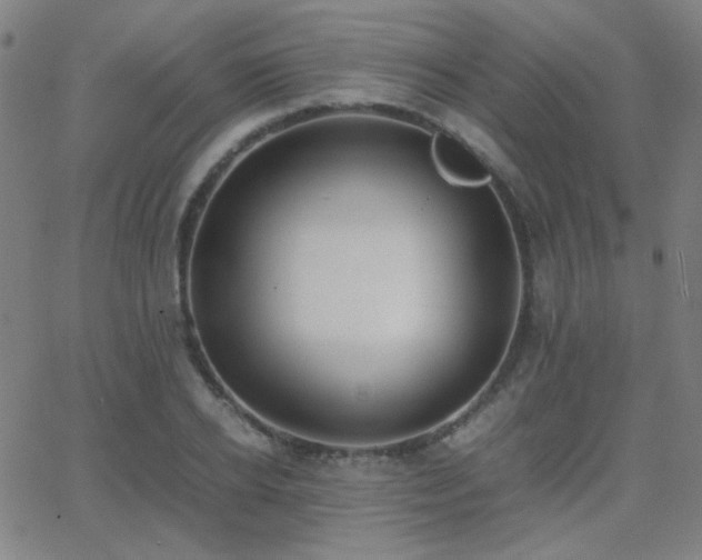 X0000062850934200601131346