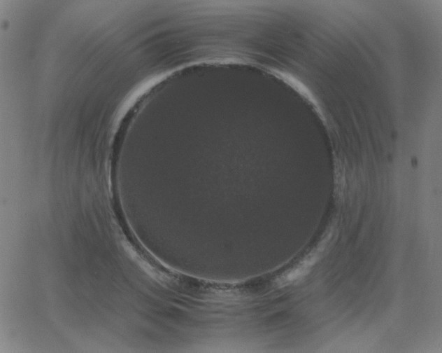 X0000062850935200601131346