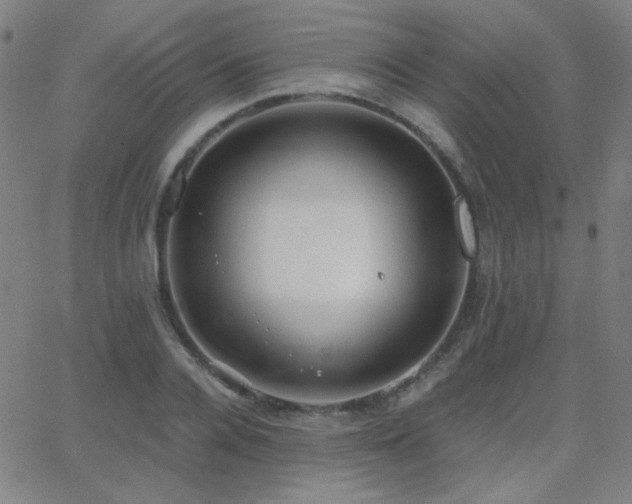 X0000062850936200601131346