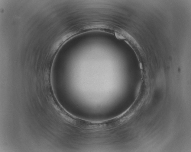 X0000062850937200601131346