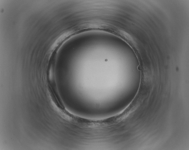 X0000062850938200601131346