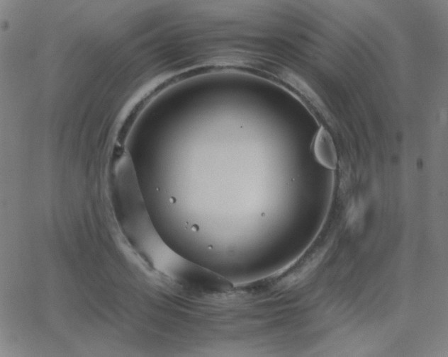 X0000062850939200601131346