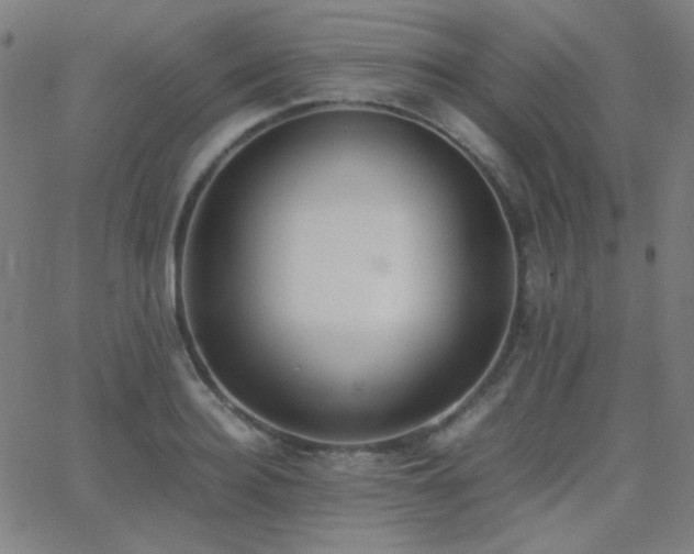 X0000062850940200601131346