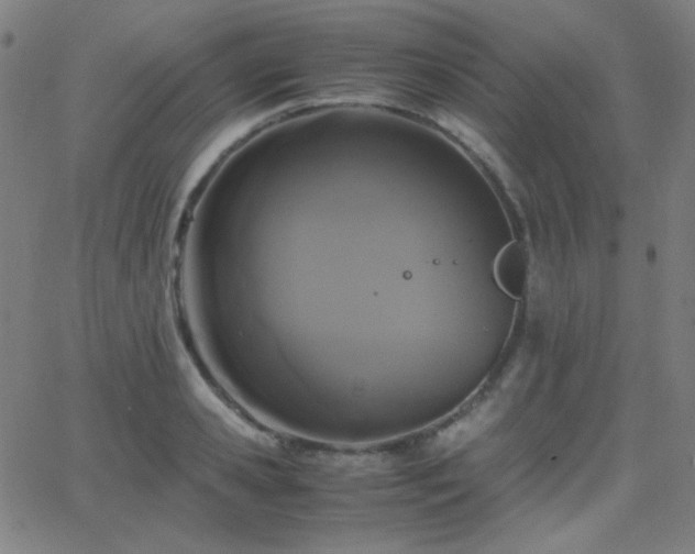 X0000062850941200601131346