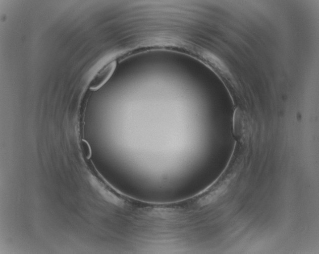 X0000062850942200601131346