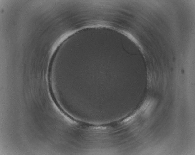 X0000062850943200601131346