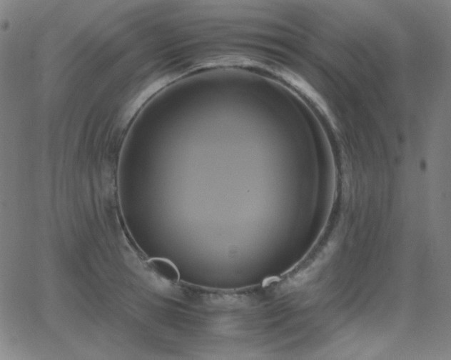 X0000062850945200601131346