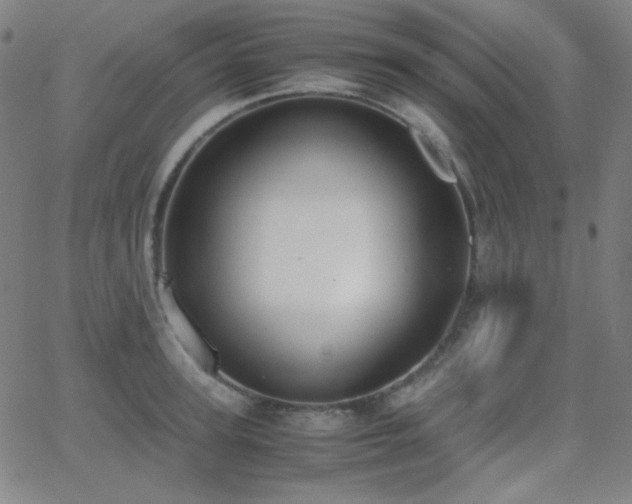 X0000062850947200601131346