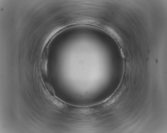 X0000062850948200601131346