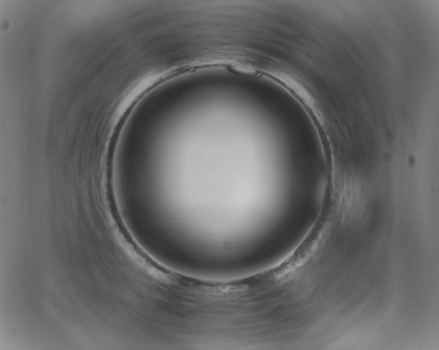 X0000062850949200601131346