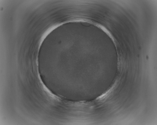 X0000062850951200601131346