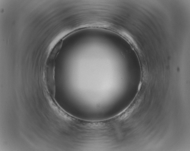 X0000062850952200601131346